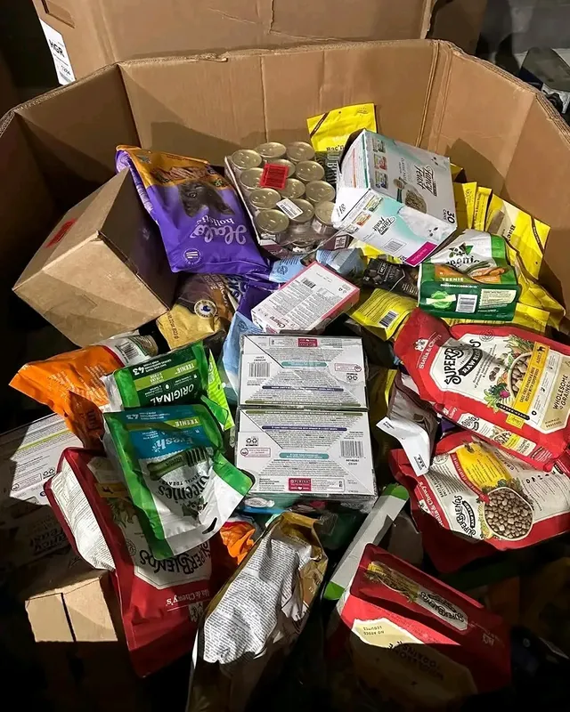 Buy pallet of dog food wholesale 5 496254946 17962396478922326 8251749359517416456 n